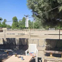 پانسیون اسب