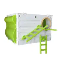 لانه عروس هلندی جاوا