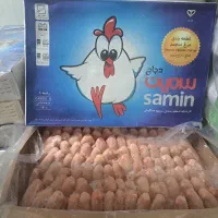 کتف وبال برند سمین فی ۲۴۰