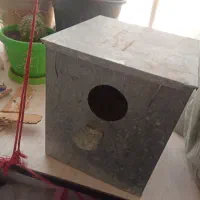 لونه پرنده