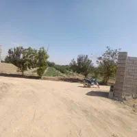 باغ