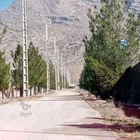 فروش-زمین-باغ-شهری-1000-متری-خالد-آباد-فاتحی