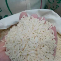 برنج هاشمی با بهترین کیفیت و ارگانیک