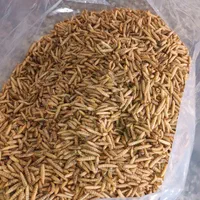 لارو سرباز سیاه مکمل غذایی پرندگان