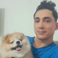 یه سگ پامر نر دارم.جفت پکینیز پامر شیواوا مخمبرش