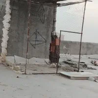 تور کبوتر برای عشق بازان