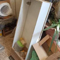 اکواریوم