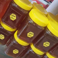 عسل طبیعی میشوداغ