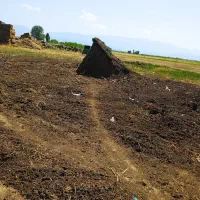 پهن وکرمه گاو وگوسفندی