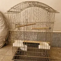 ۳ عدد قفس پرنده