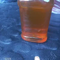 عسل بهاره رابر