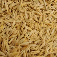 جو تمیز توی کیسه و یکی یکی کیسه ها را ببینید