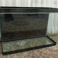 اکواریوم شیشه خم شرکتی
