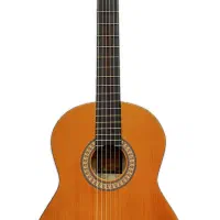 گیتار پارسی m2
