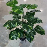 شفلرا درختچه مصنوعی محصول چین زیر قیمت بازار