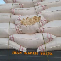 کاه دیم سفید کوهدشت