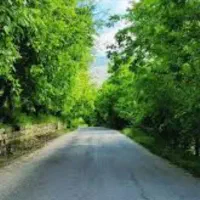 تورگردشگری