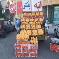 انبه فریزشد