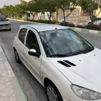206 تمیز و خانگی