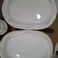 دو عدد دیس چینی مقصود