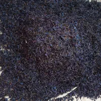 گل گاوزبان تازه محلی