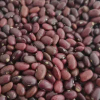 لوبیاقرمز