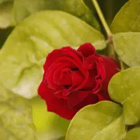 عکاسی ساحلی و عکاسی در لوکیشن های مختلف
