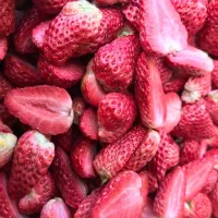دستگاه خشک کن میوه،سبزی،گل محمدی،d40hhتاوریس صنعت
