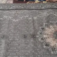 قالی ۱۸متری