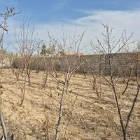 باغ گل مینا.کهریز سنگ.کوشک