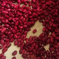 لوبیا قرمز درجه یک