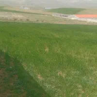 زمین-زراعی-باغی-روستای-کزنار