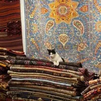 پیش فروش فرش