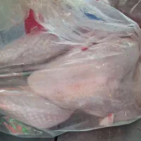 بوقلمون کشتار روز