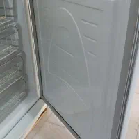 یخچال بدون برفک مارک سوزان