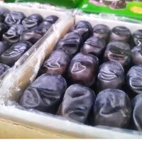 خرمای مضافتی بم