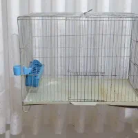 قفس پرنده