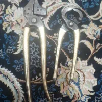 گازانبر ومیخکش