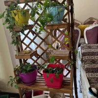 فروش استند چوبی گل بزرگ