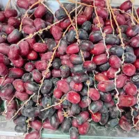 خارک قرمز خرما مضافتی تازه