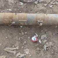 فروش ماردون سالم