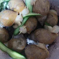 حلزون با قیمت مناسب