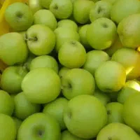 سیب لبنانی درجه یک ارگانیک