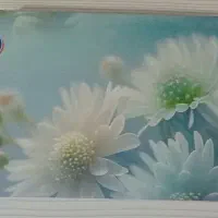 دستمال کاغذی فروش عمده