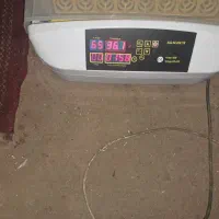 دستکاه جوجه کشی ۴۸و