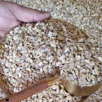 جو پرک تازه/مناسب گاو شیری،پرواری و گوسفند