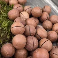 آجیل .|خوردنی و آشامیدنی|قم, عشقعلی|دیوار