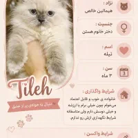 تیله دختر خانوم ناز و بازیگوش ما