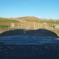 زمین مزروعی