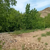 سافاری گردش در طبیعت ویژه خراسان شمالی منطقه گلول